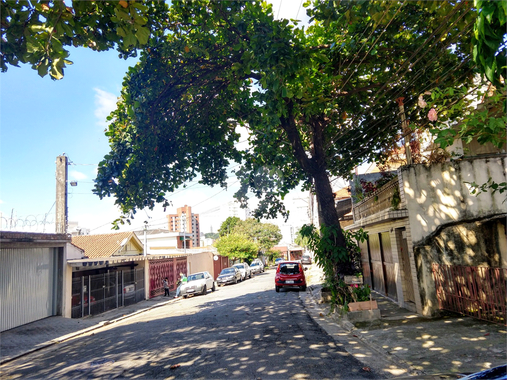 Venda Casa São Paulo Vila Ipojuca REO358289 2