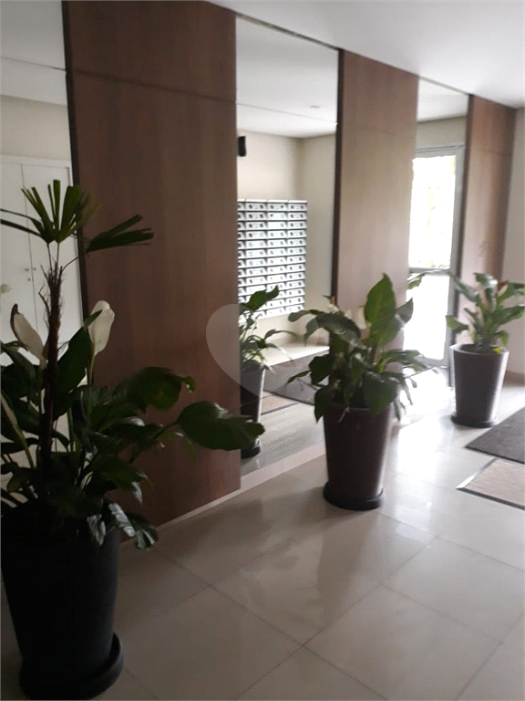 Venda Apartamento São Paulo Jaraguá REO358504 38