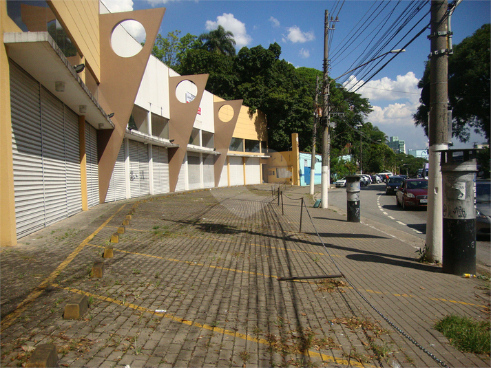 Foto REO358619
