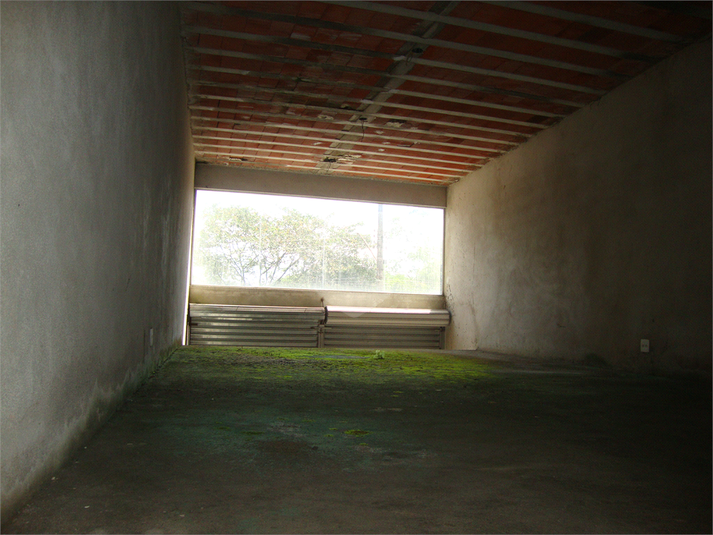 Foto REO358619