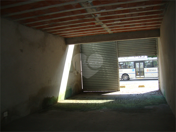 Foto REO358619