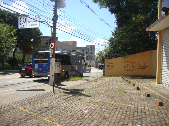 Foto REO358619
