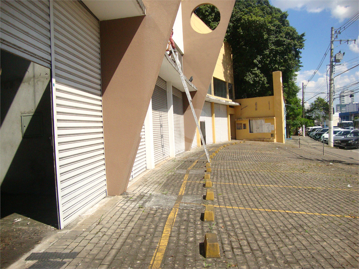 Foto REO358619
