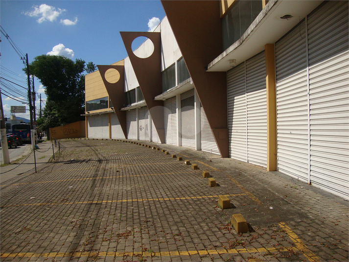 Foto REO358619