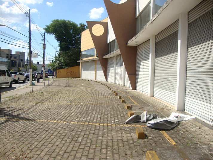 Foto REO358619