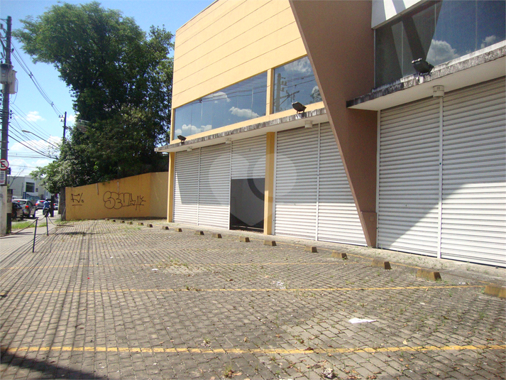 Foto REO358619