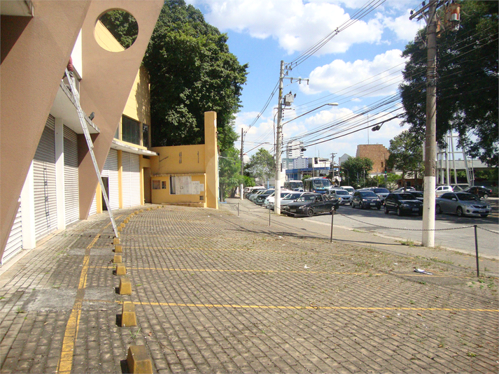 Foto REO358619