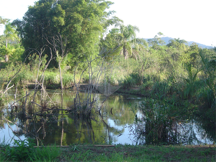 Venda Sítio Pariquera-açu Centro REO358912 4