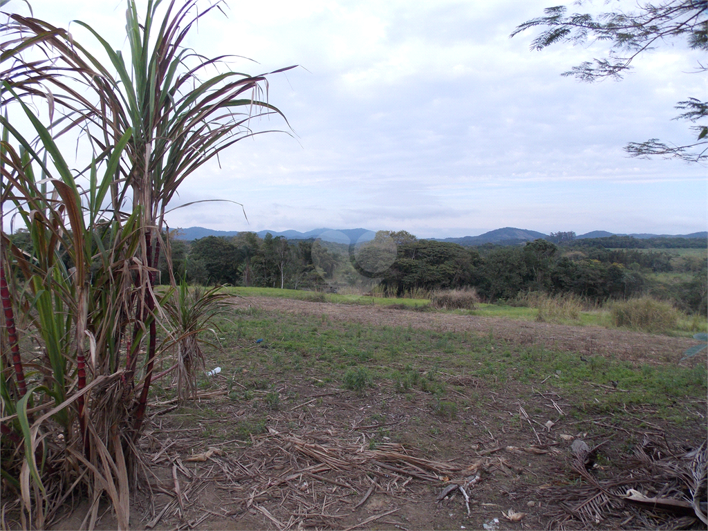 Venda Sítio São Miguel Arcanjo Centro REO359078 13