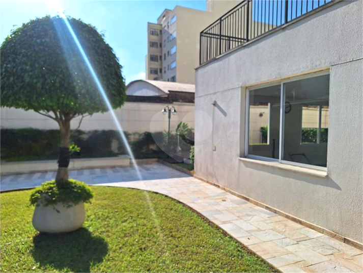 Foto REO359240