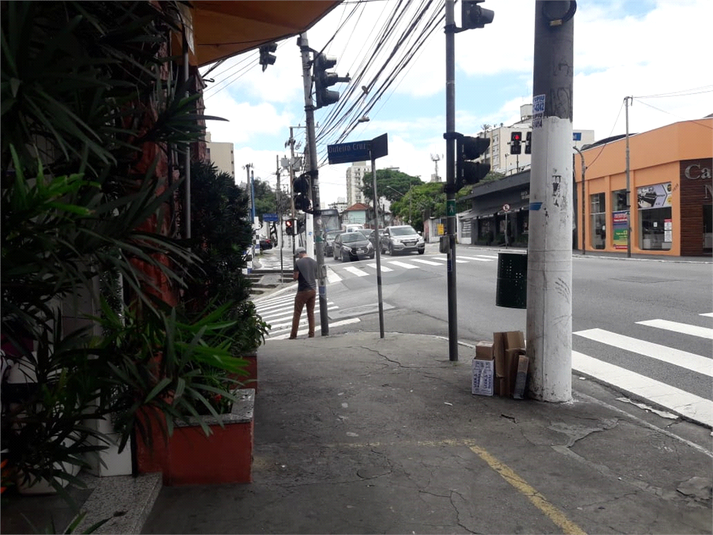 Foto REO359307