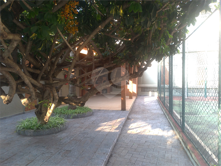Foto REO35942