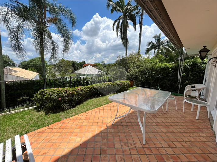 Foto REO359469