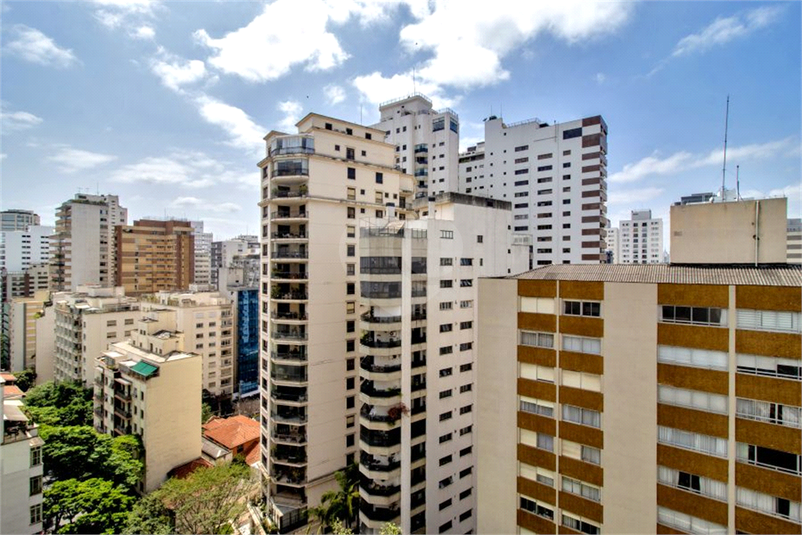 Foto REO359640