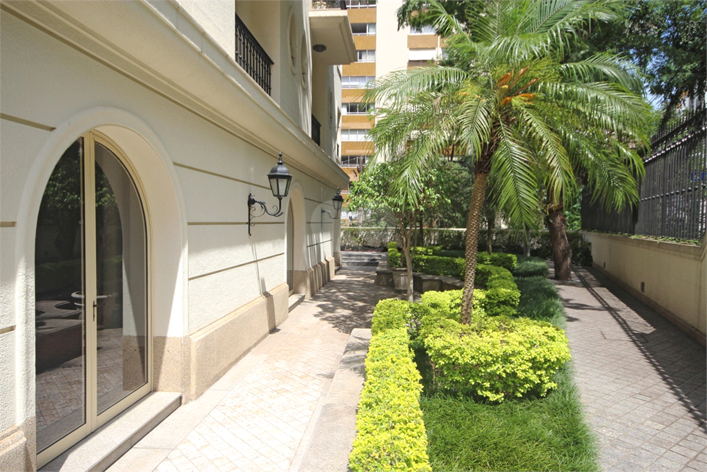 Foto REO359640