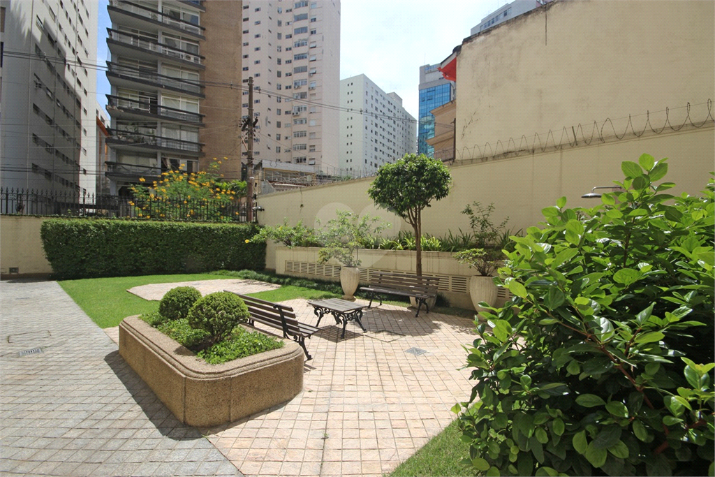 Foto REO359640