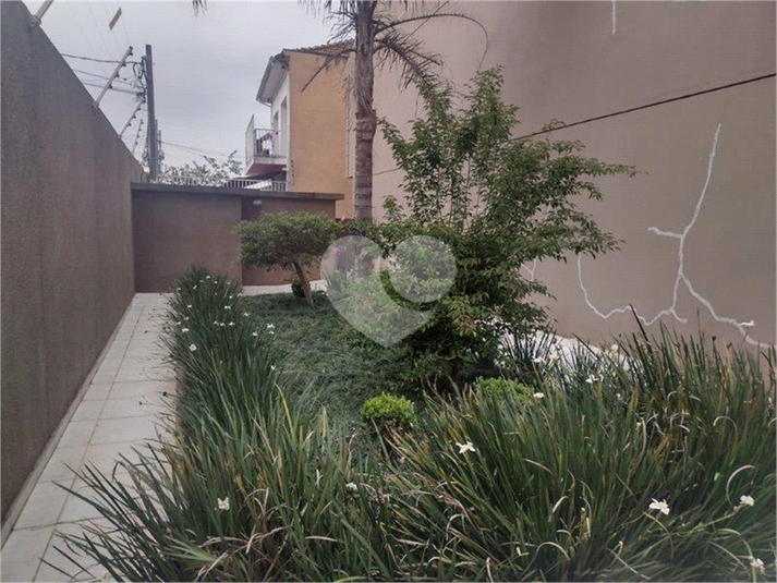 Foto REO359943