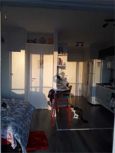 Foto REO360158