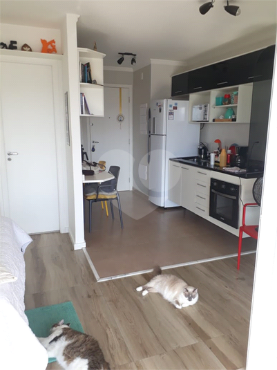 Foto REO360158