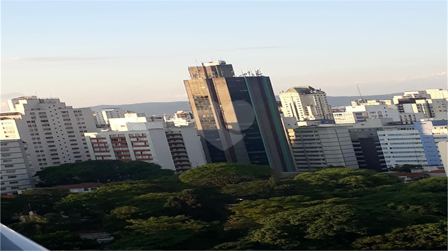 Foto REO360158