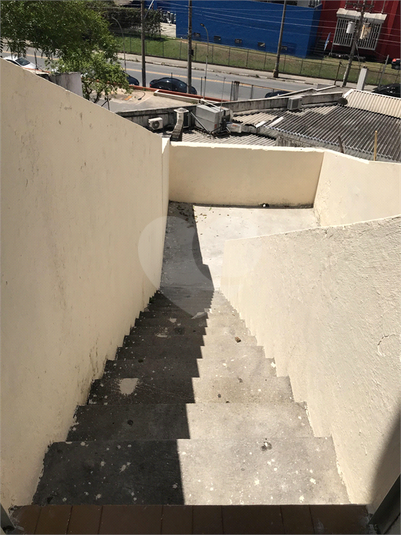 Foto REO360366