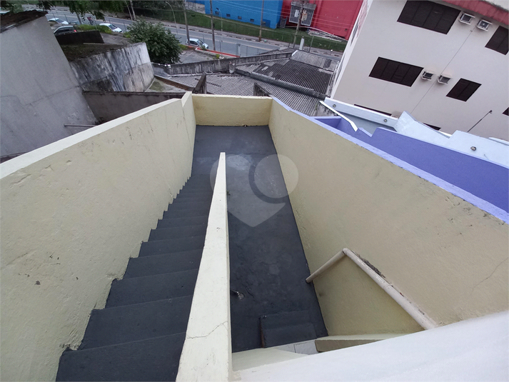 Foto REO360366