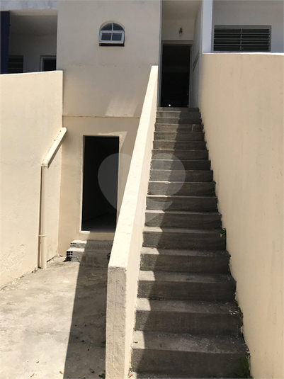 Foto REO360366