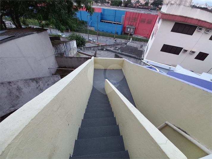Foto REO360366