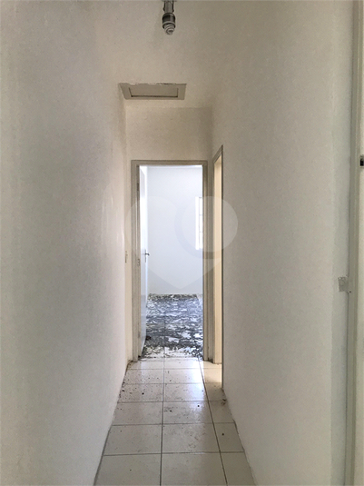 Foto REO360366