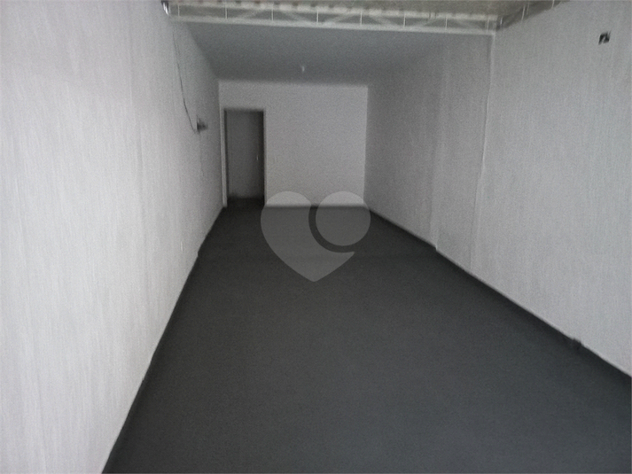 Foto REO360366