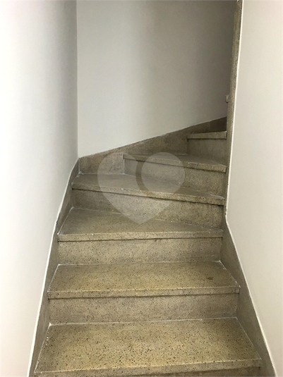 Foto REO360366