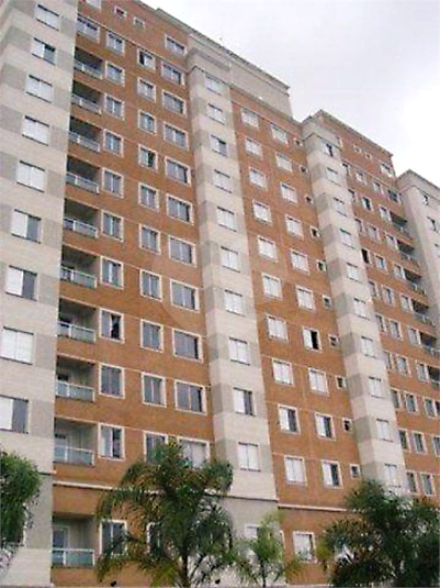 Foto REO360462