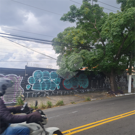 Foto REO360702