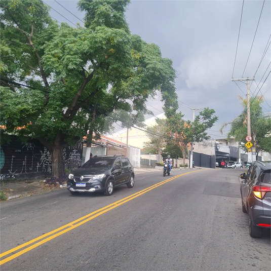 Foto REO360702
