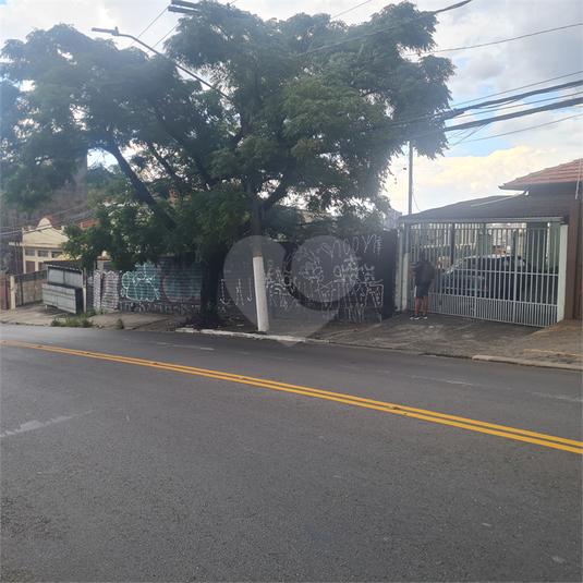 Foto REO360702
