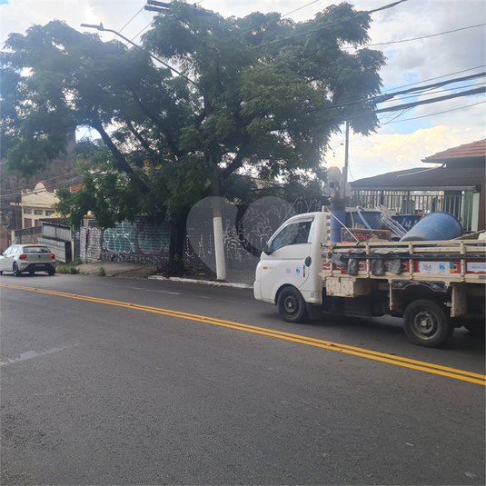 Foto REO360702