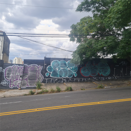 Foto REO360702