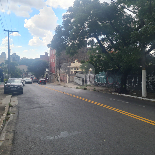 Foto REO360702