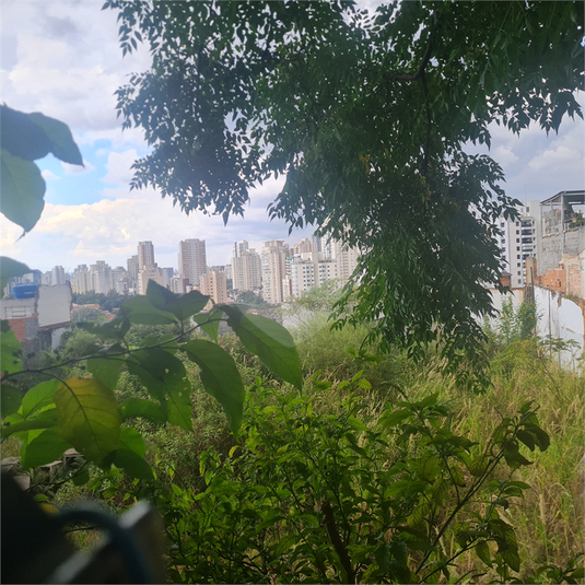 Foto REO360702
