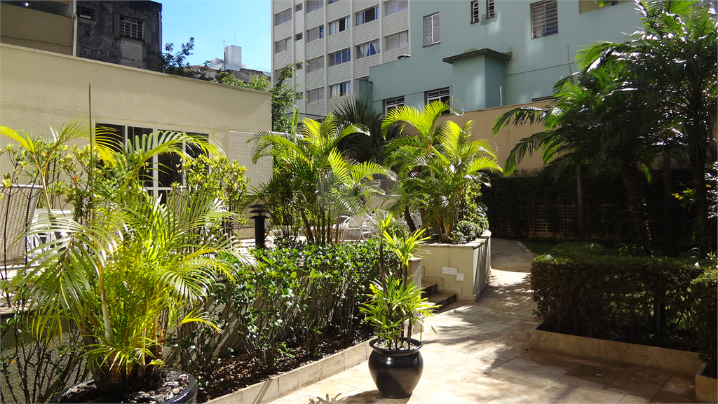 Aluguel Apartamento São Paulo Pinheiros REO360836 16