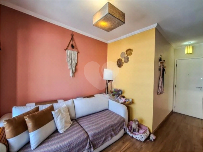 Foto REO360980