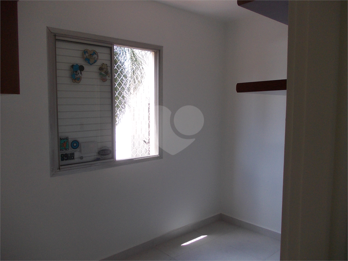 Foto REO361163