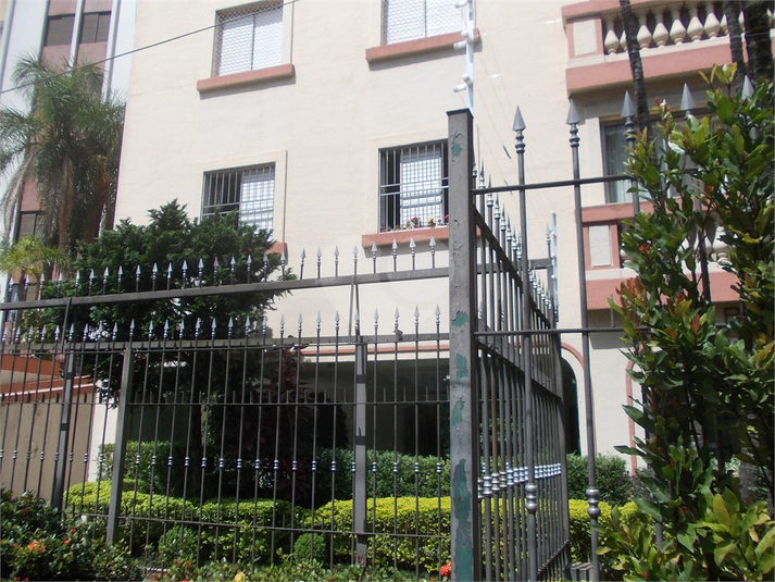 Foto REO361163
