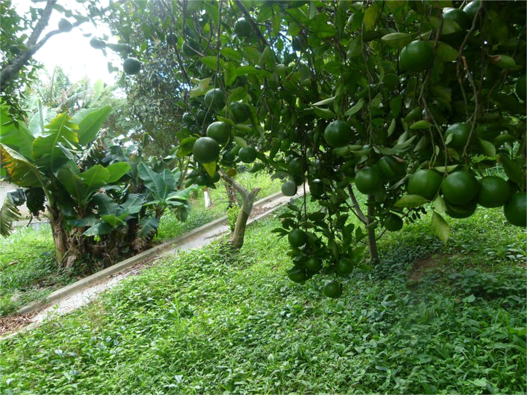 Venda Casa São Roque Jardim Suíça Paulista REO361221 39