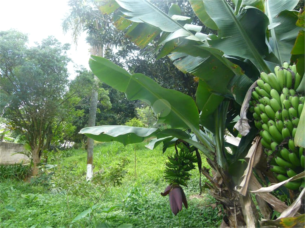 Venda Casa São Roque Jardim Suíça Paulista REO361221 41