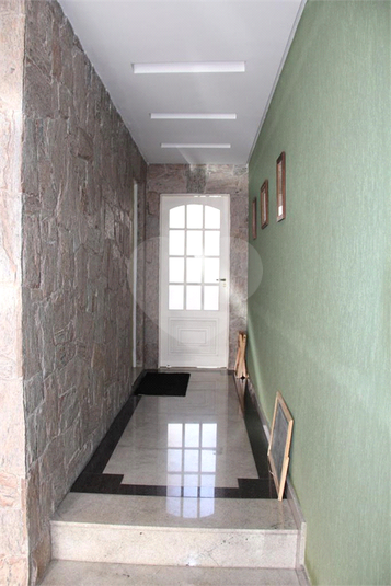 Foto REO361546