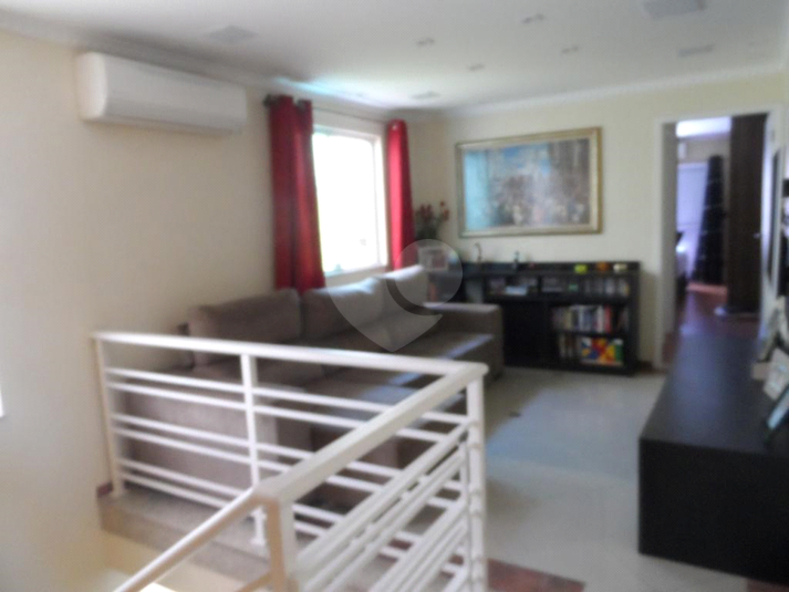 Foto REO361546