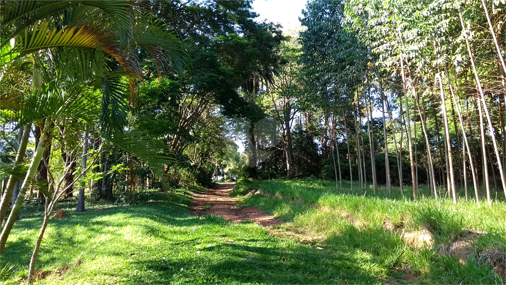 Venda Sítio Vinhedo Cachoeira REO361593 8