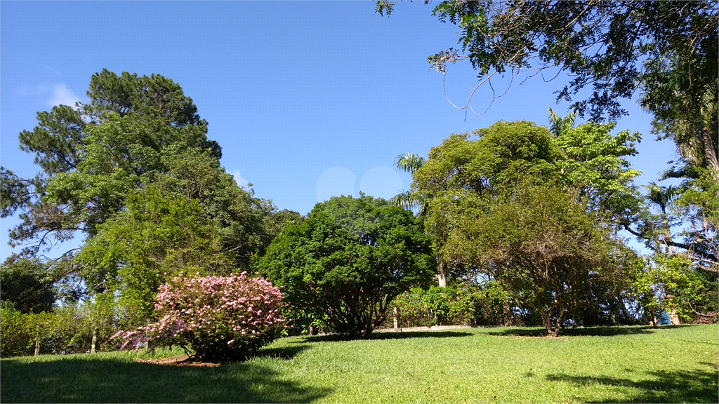 Venda Sítio Vinhedo Cachoeira REO361593 2