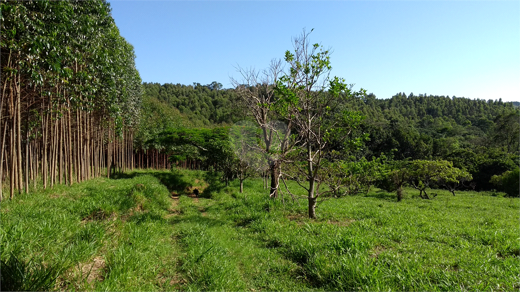 Venda Sítio Vinhedo Cachoeira REO361593 14